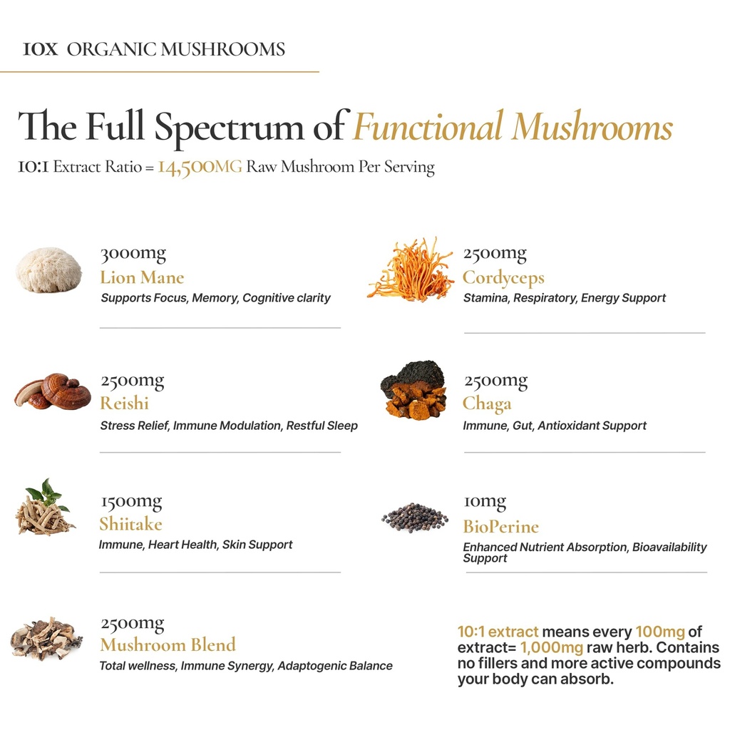 aceworkz-neuroroot-mushroom-complex-supp-4.jpg