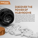wellness-labsrx-mushroom-supplement-caps-6.jpg