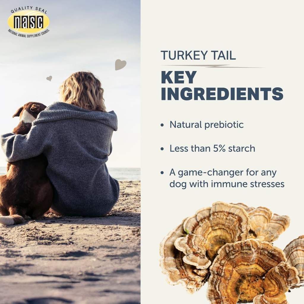 turkey-tail-mushroom-for-dogs-whole-orga-4.jpg