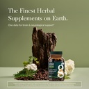 gaia-herbs-lion-s-mane-mushroom-brain-he-2.jpg