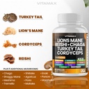 vitamax-lions-mane-mushroom-turkey-tail--2.jpg