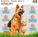 natural-dog-company-2-pack---16-oz-wild--4.jpg