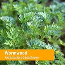 herb-pharm-certified-organic-wormwood-li-6.jpg
