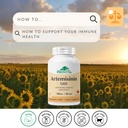 provita-artemisinin-pro-immune-support-s-2.jpg