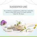 herbera-wormwood-60-capsules-400-mg-worm-2.jpg