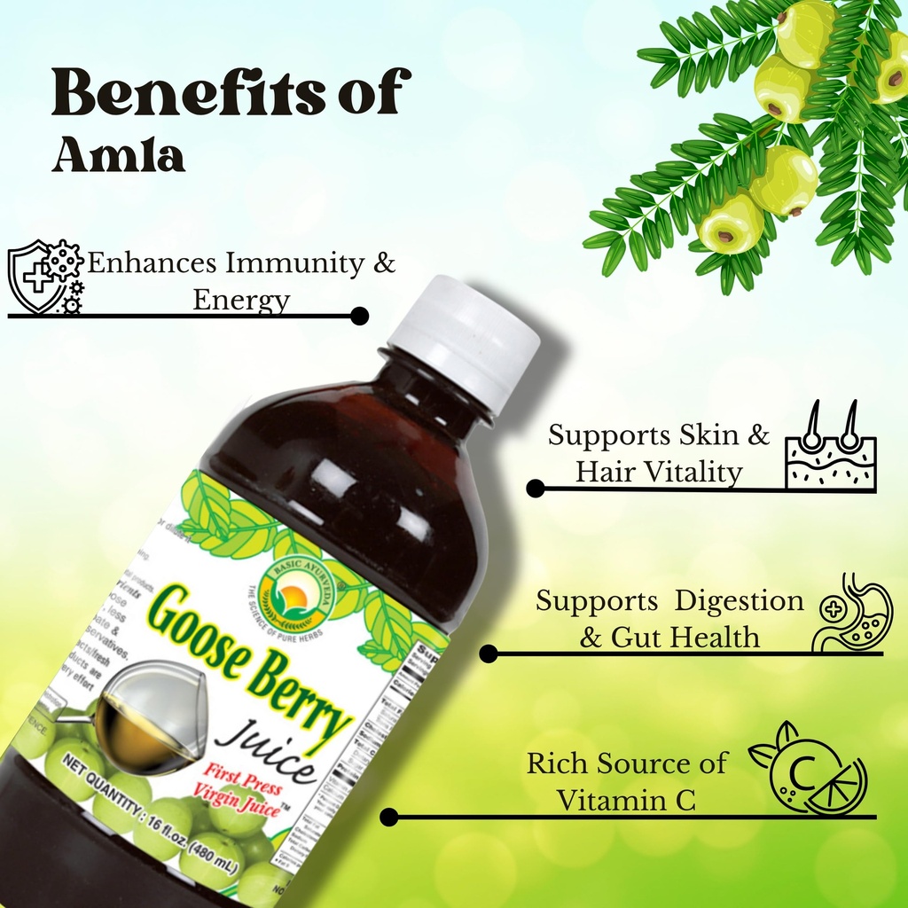 basic-ayurveda-amla-gooseberry-juice-32--5.jpg