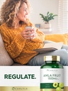 carlyle-amla-capsules-1500mg-120-count-a-6.jpg