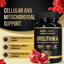 urolithin-a-capsules-500mg-1000mg-per-se-4.jpg