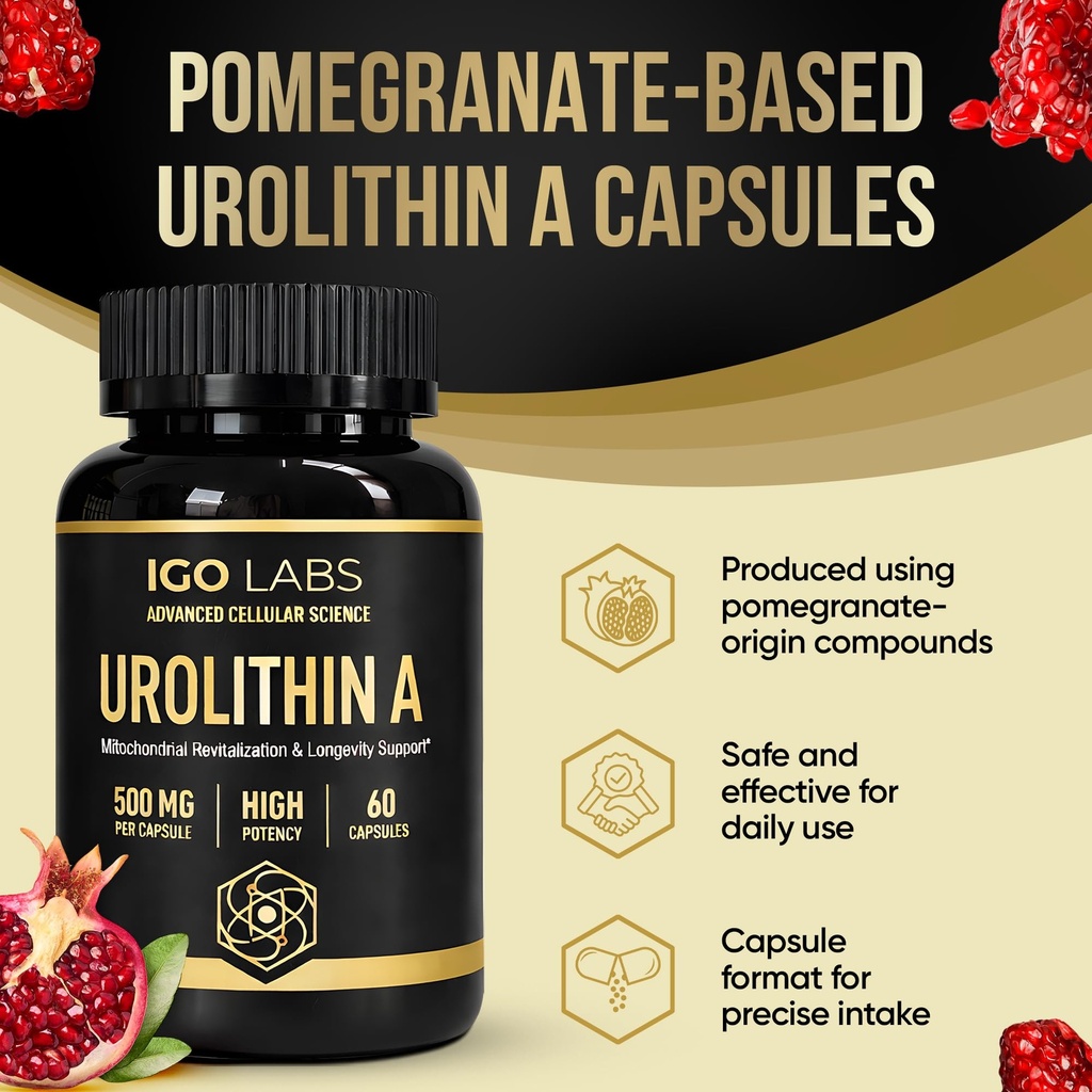 urolithin-a-capsules-500mg-1000mg-per-se-6.jpg