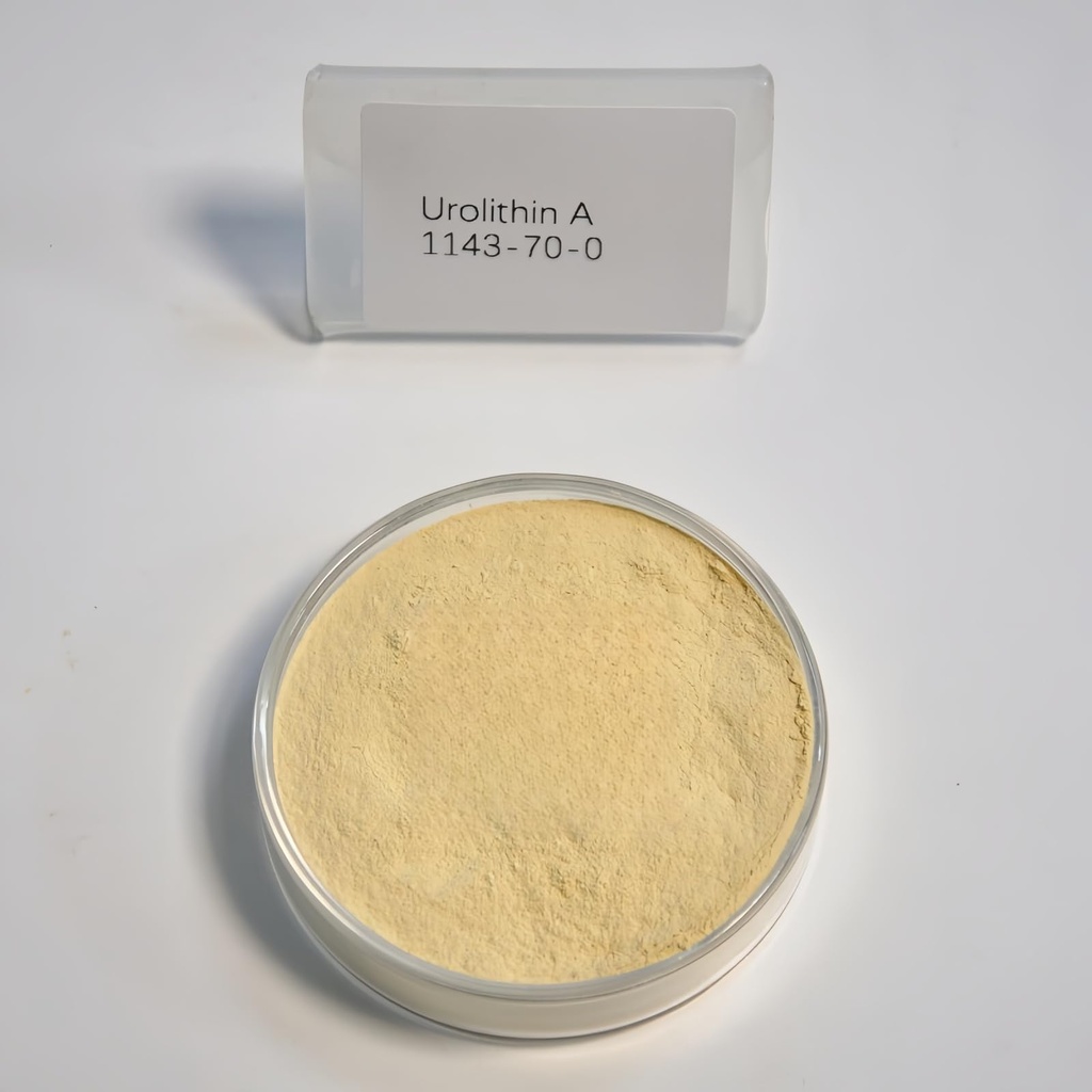urolithin-a-powder-20-grams-purity-above-3.jpg