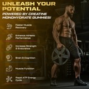 creatine-monohydrate-gummies-for-men-wom-6.jpg
