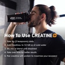 optimum-nutrition-creatine-monohydrate-p-6.jpg