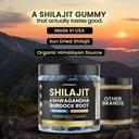 pure-shilajit-gummies-sea-moss-ashwagand-5.jpg