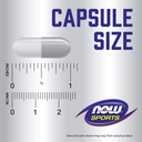 now-foods-l-glutamine-1-000-milligram-12-4.jpg
