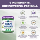 vital-planet-vital-gut-renew-powder-supp-3.jpg