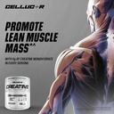 cellucor-cor-performance-creatine-monohy-6.jpg