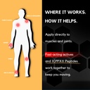 pep-stryde-peptide-powered-muscle-joint--4.jpg