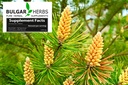 raw-organic-pine-pollen-tablets-60-count-2.jpg