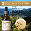 raw-forest-foods-mountain-alchemy-pine-p-4.jpg