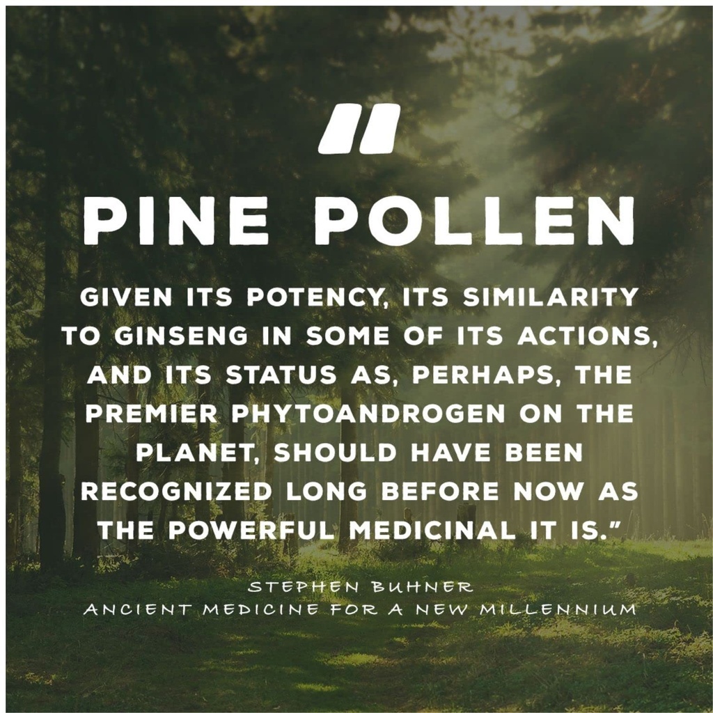 surthrival-pine-pollen-gold-extract-1-fl-5.jpg