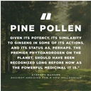 surthrival-pine-pollen-gold-extract-1-fl-5.jpg