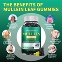2-packs-3000mg-organic-mullein-gummies-f-3.jpg