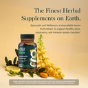 gaia-herbs-quercetin-synergy-supports-im-2.jpg
