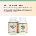 quercetin-with-bromelain-96-highly-purif-5.jpg
