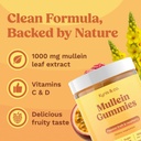 kynis-co-mullein-gummies-for-overall-wel-6.jpg