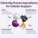 nad-supplements-for-women-with-resveratr-6.jpg