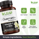 b-leaf-nature-quercetin-phytosome-120-ca-3.jpg