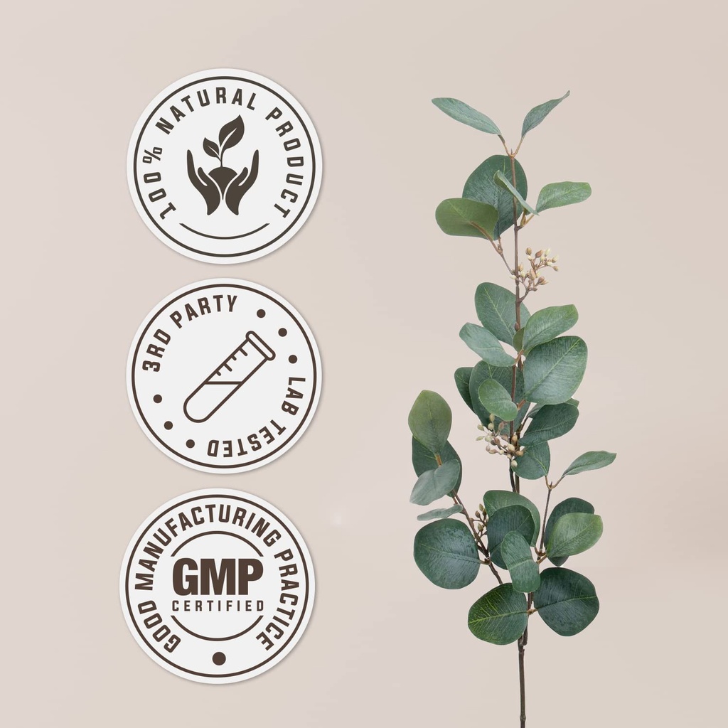 artichoke-usda-organic-alcohol-free-extr-4.jpg