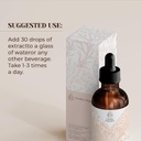 artichoke-usda-organic-alcohol-free-extr-2.jpg