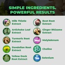 balance-one-liver-support-supplement-wit-4.jpg