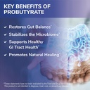 tesseract-medical-research-probutyrate-g-3.jpg