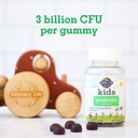 garden-of-life-kids-probiotic-3-billion--3.jpg