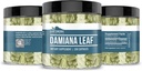 earthborn-elements-damiana-leaf-200-caps-4.jpg