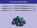 koyah-organic-wild-blueberry-capsules-fr-5.jpg