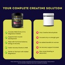 creatine-monohydrate-5g-with-bcaas-suppo-4.jpg
