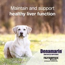 nutramax-denamarin-for-dogs-liver-health-2.jpg