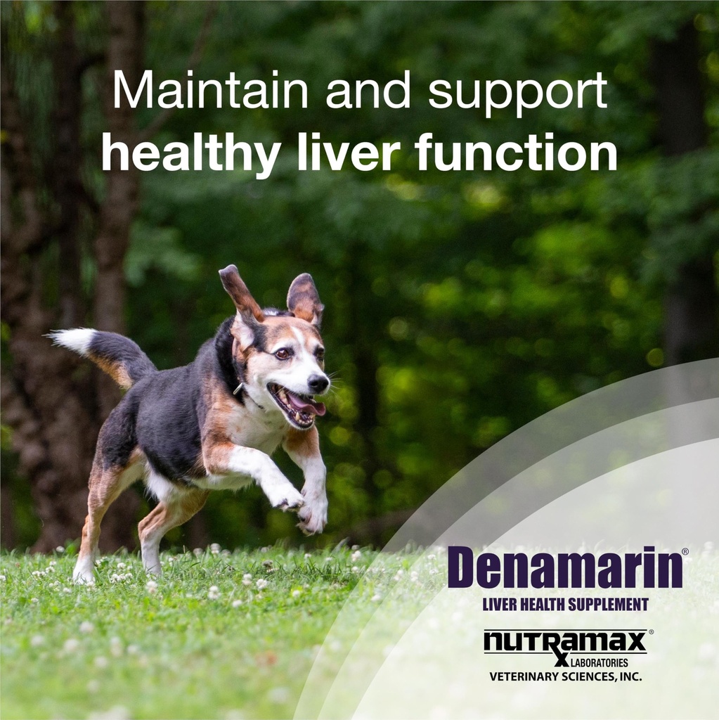 nutramax-denamarin-for-medium-dogs-liver-2.jpg