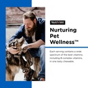 nutri-vet-multi-vite-chewables-for-adult-6.jpg