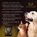 antioxidant-for-senior-dogs-and-cats-pro-4.jpg
