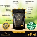 antioxidant-for-senior-dogs-and-cats-pro-3.jpg