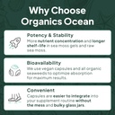 organics-ocean-muscle-bone-heart-sleep-w-6.jpg