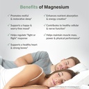 organixx-magnesium-glycinate-supplement--4.jpg