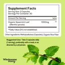spearmint-zinc-magnesium-vit-b6-organic--2.jpg