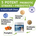 probiotics-for-dogs-improve-itchy-skin-i-3.jpg