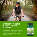 swanson-oregano-oil-10-1-extract-digesti-6.jpg