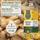 herbamama-ginger-drops-vegan-digestive-s-3.jpg